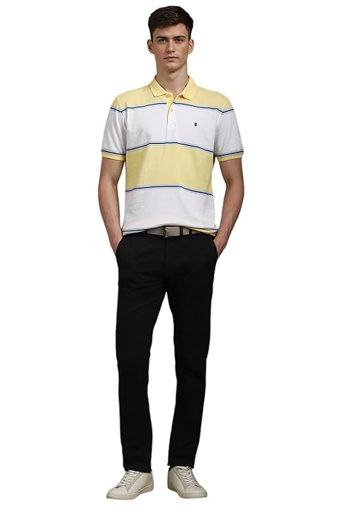 Louis Philippe Men's Striped Slim Fit T-Shirt